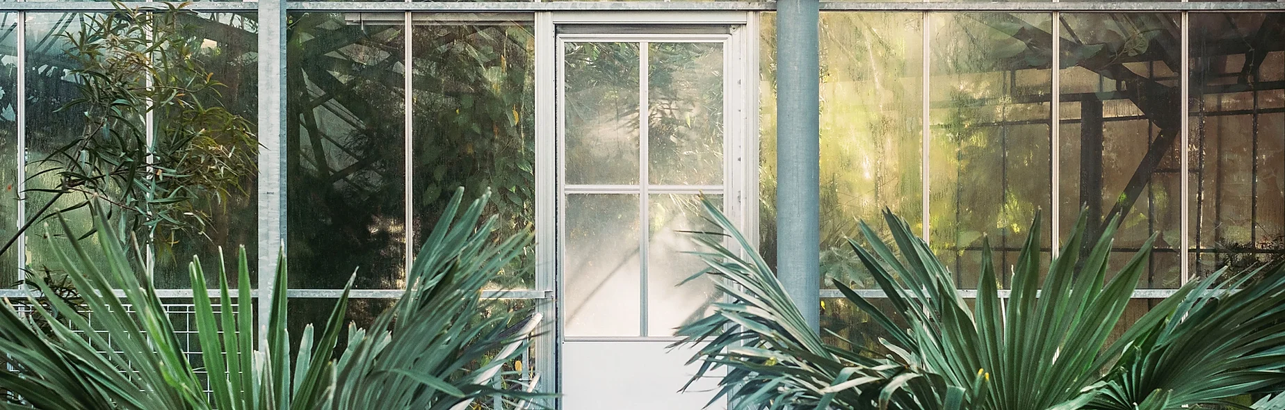 Strategic Sustainability